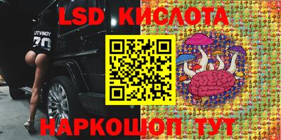 a pvp Бийск