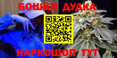 a pvp Бийск