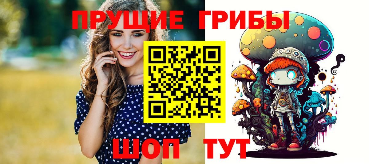 Ачхой-Мартан  Галлюциногенные грибы мухоморы  Вход с VPN  Псилоцибиновые грибы Psilocybine cubensis 